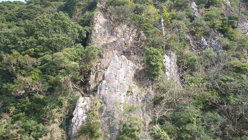 平成29年度（補正）復旧治山事業 （鬼口地内）