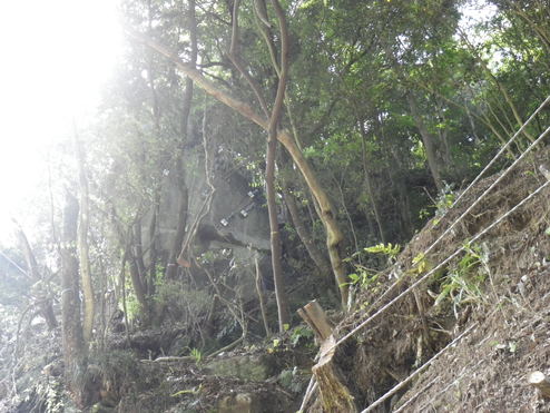 笠置山添線道路災害防除工事