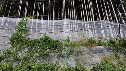 国道267号（A090）防災安全交付金（災害防除）その１工事