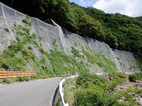 令和2年度(主)伊東西伊豆線災害防除工事(防護網工)