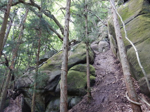 補助公共　社会資本総合整備（防災・安全）（地方道防災）落石対策工