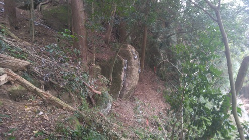 大下・丸山線道路災害防止工事（その１）